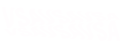 Logo de VSA, cliente de Bruto